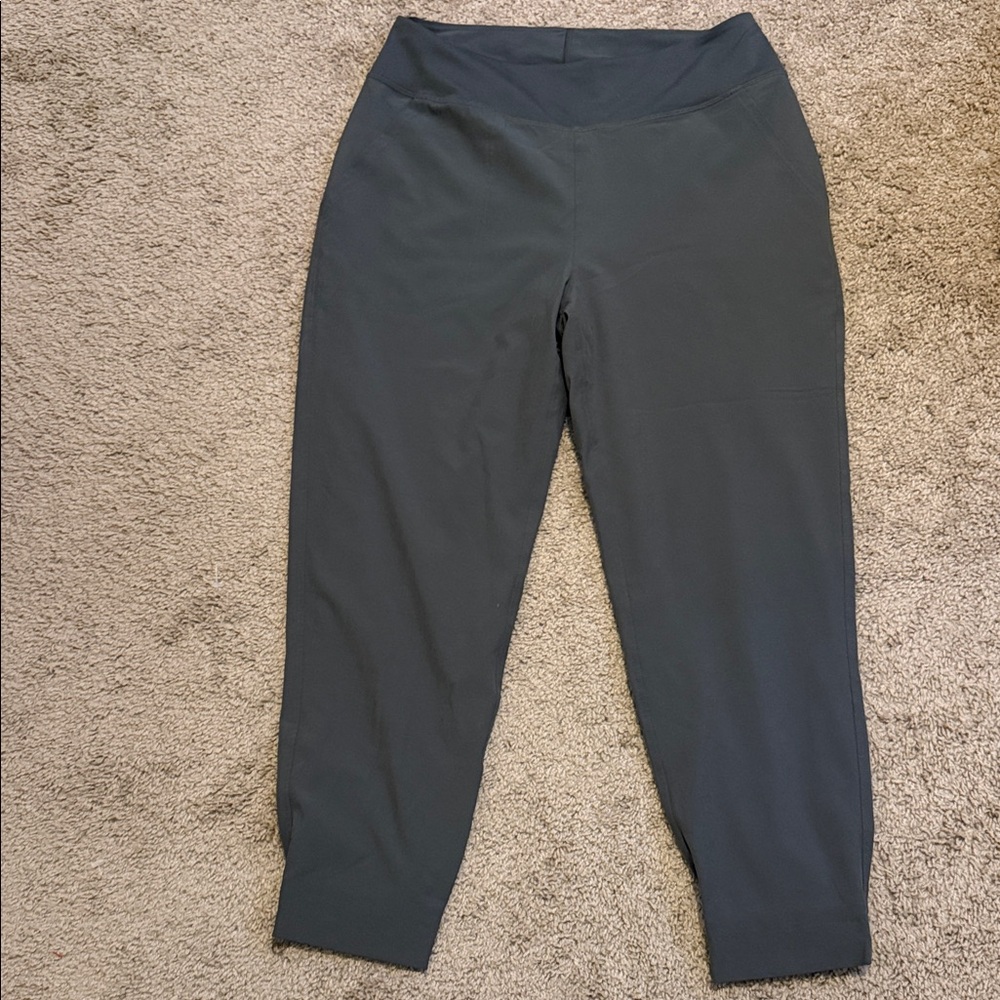 Patagonia Gray Track Pants